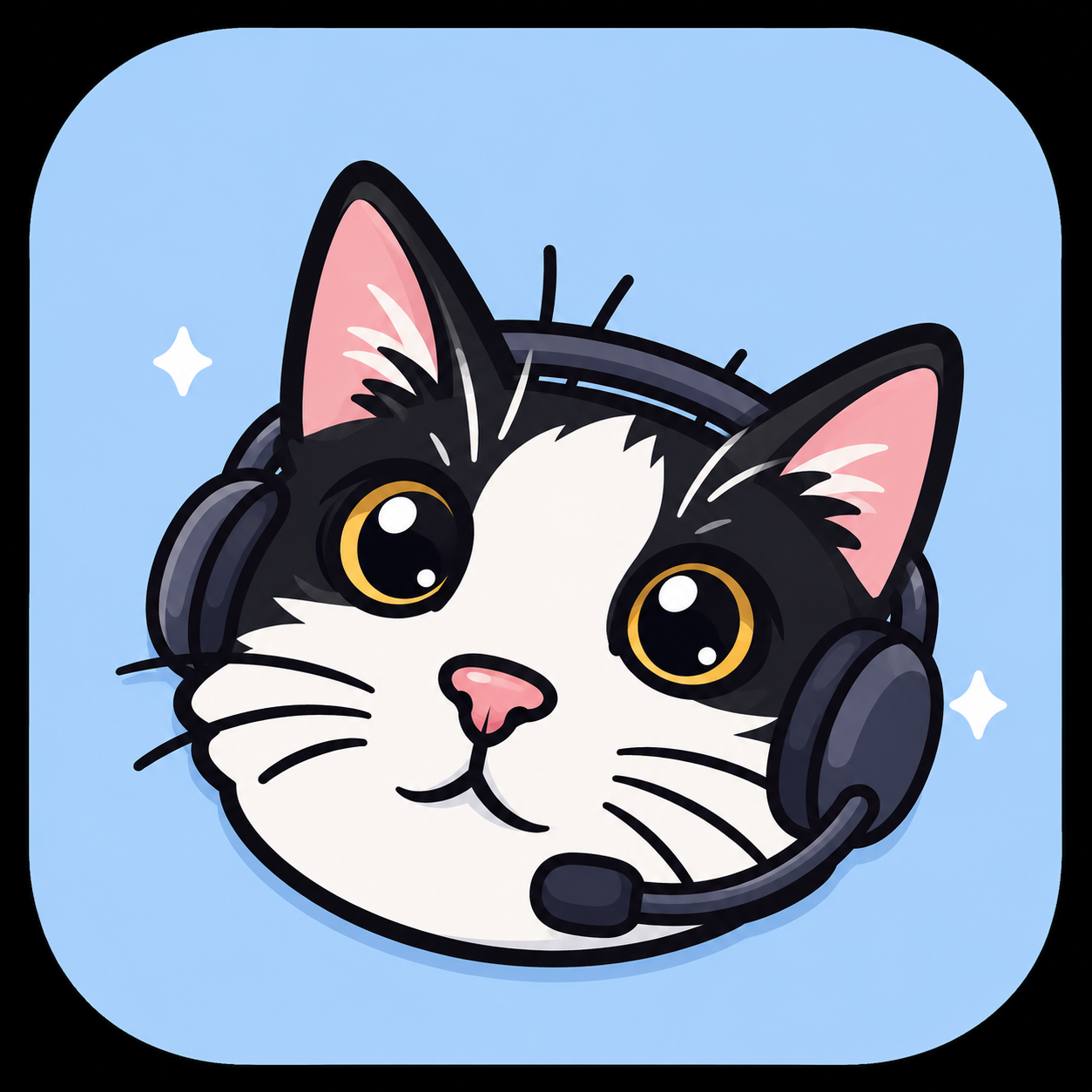 Nova, a little cat wearing a headset